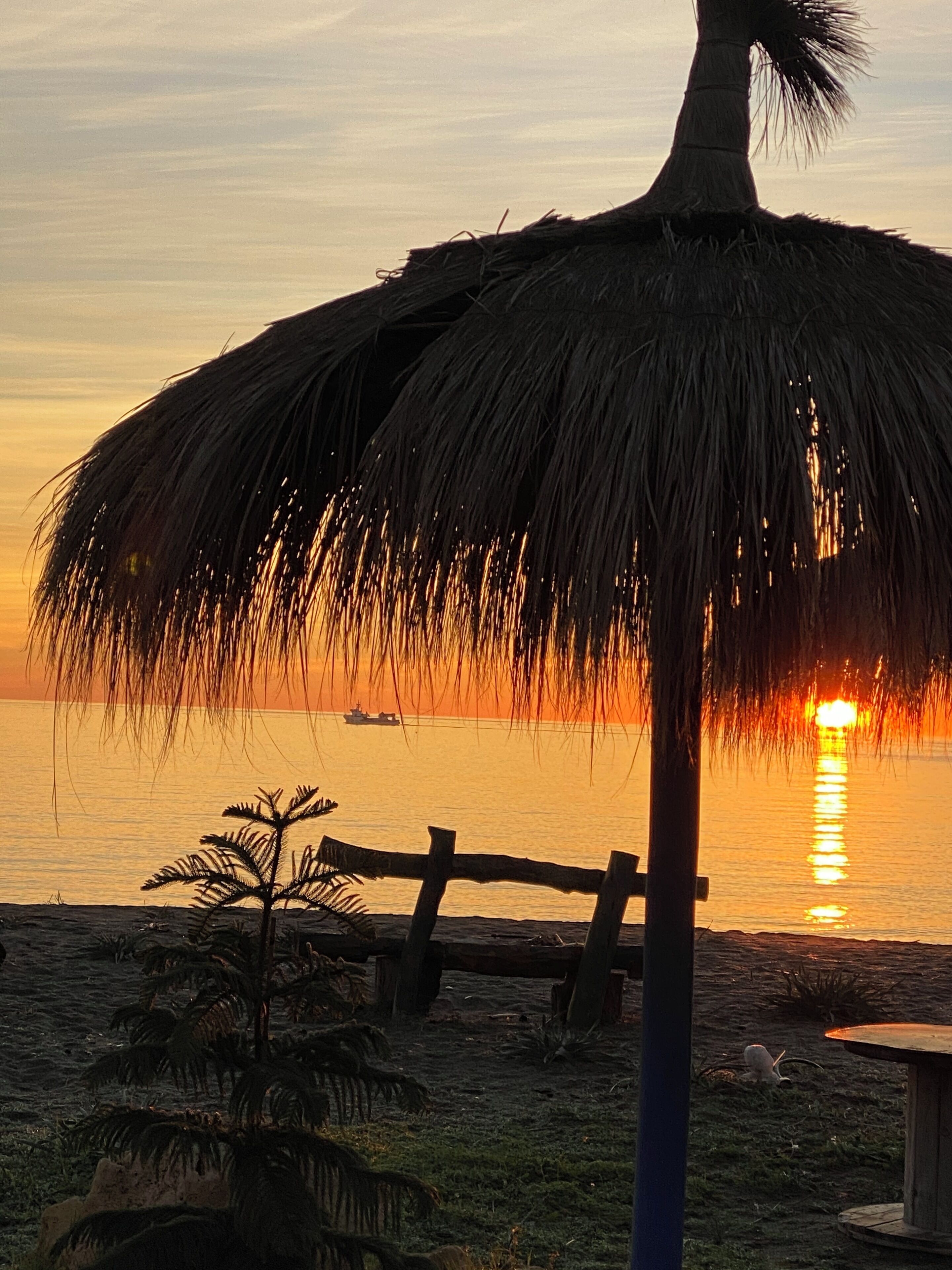 A beach scene with a thatched umbrella, palm trees, and a wooden fence.