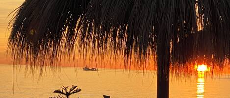 A beach scene with a thatched umbrella, palm trees, and a wooden fence.