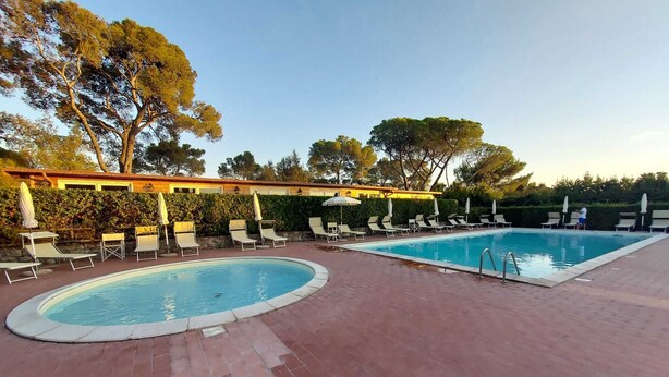 Une piscine entourée d’arbres et dotée d’une terrasse en briques, avec des chaises longues et des parasols.