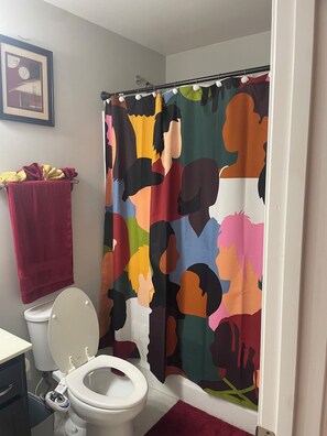 Bathroom - Charming 2-bedroom house  2100 sq feet in enchanting Atlanta with AC (ATLANTA)