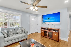 TV