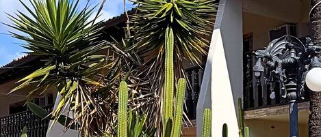 Habitación doble clásica | Detalle exterior