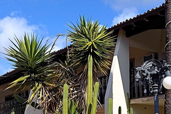 Classic Double Room | Exterior detail