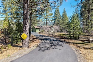 A forested area with a paved path leading to a building with a green roof. - Mountain Riverview Cliff House in The Lost Sierra (Graeagle)