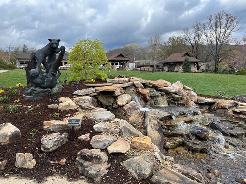 Sweet Caroline-ah House. New 3BR home in beautiful Black Mountain