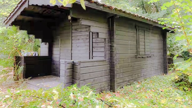 A rustic wooden cabin with a porch, surrounded by dense foliage. - Tiny Haus - Nature Park (Schlangenbad)