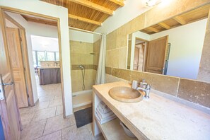 Shower, hair dryer, towels