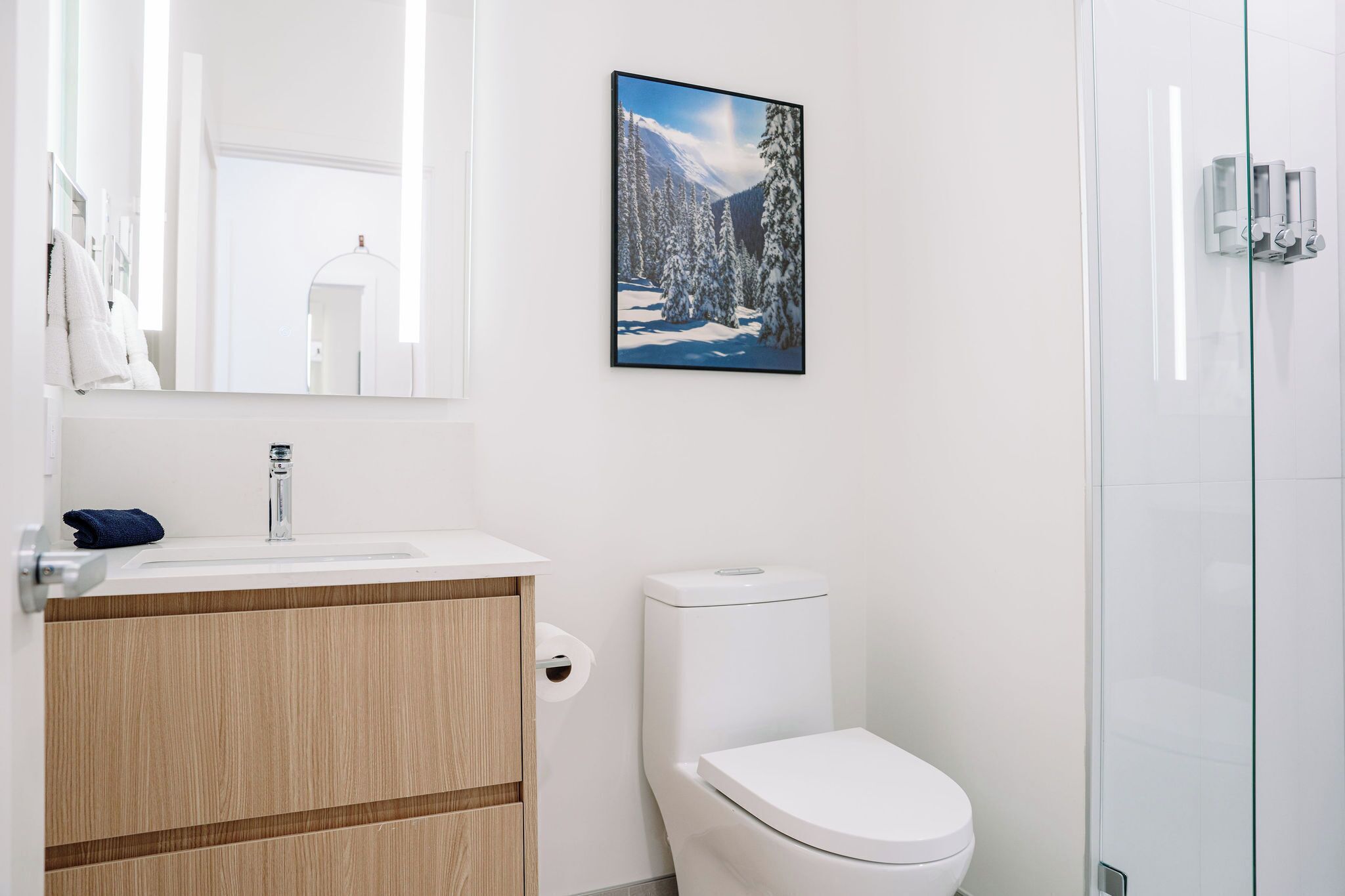 Une salle de bain moderne avec un meuble-lavabo en bois, des toilettes blanches, une cabine de douche en verre et un tableau représentant un paysage enneigé.
