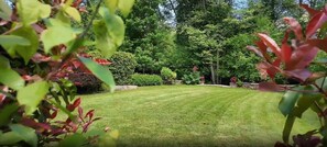 Villa superior, patio, vistas al jardín | Vistas al patio