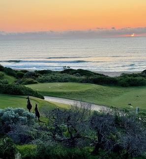 A coastal landscape with a golf course, two kangaroos, and the ocean at sunset. - The Sanctuary - Absolute ocean front
House sleeps 8. 4 bedrooms 2.5 bath (Dawesville)