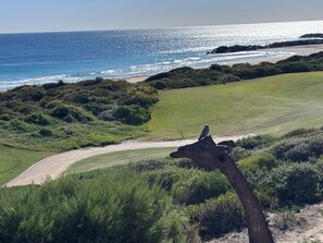 Eine Küstenlandschaft mit Golfplatz, einem Vogel im Baum und dem Meer im Hintergrund.