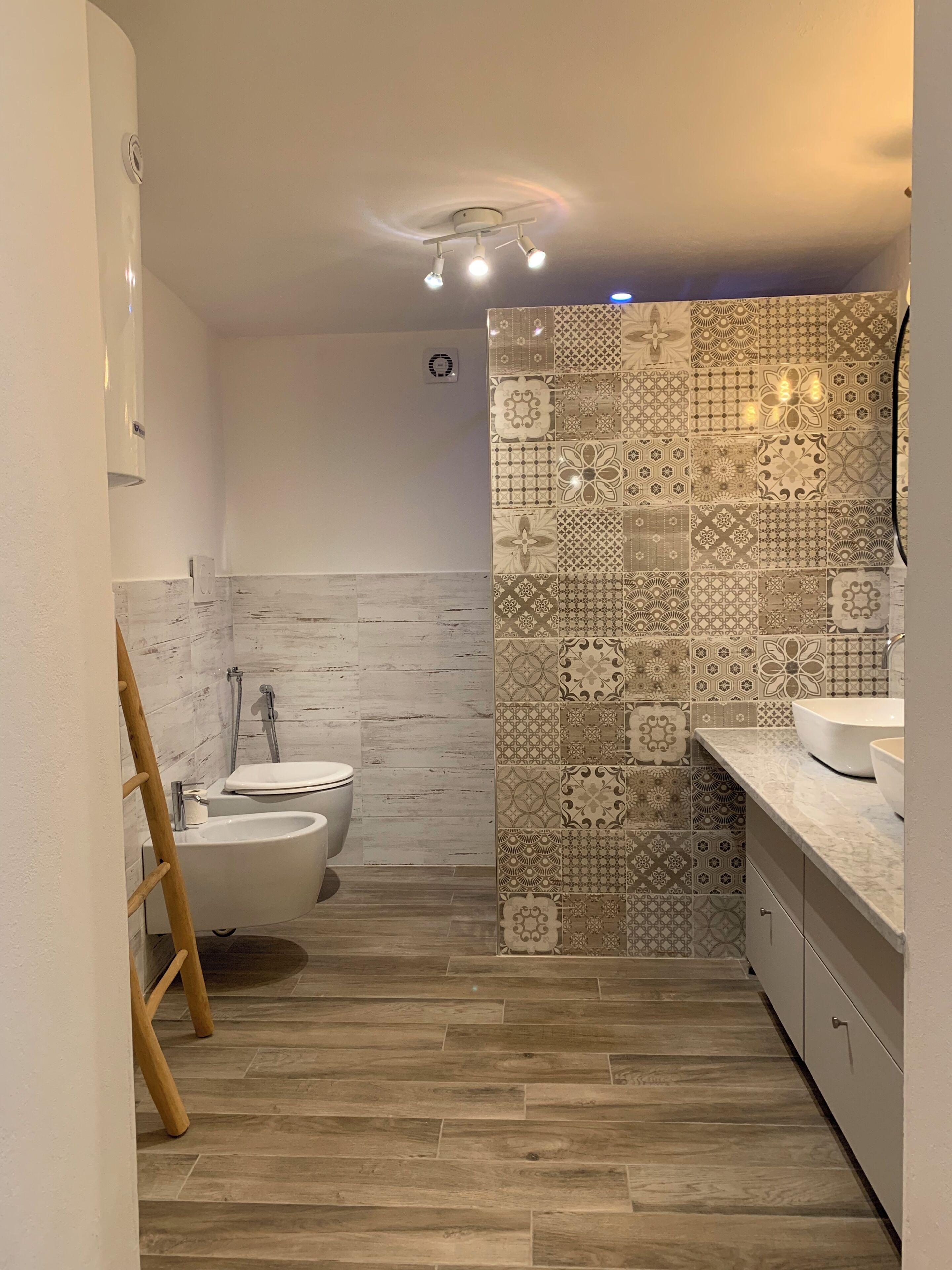 Shower, hair dryer, bidet, towels
