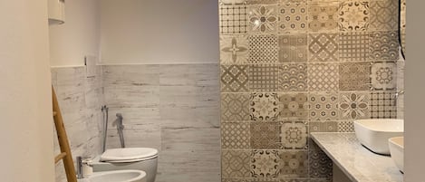 Shower, hair dryer, bidet, towels
