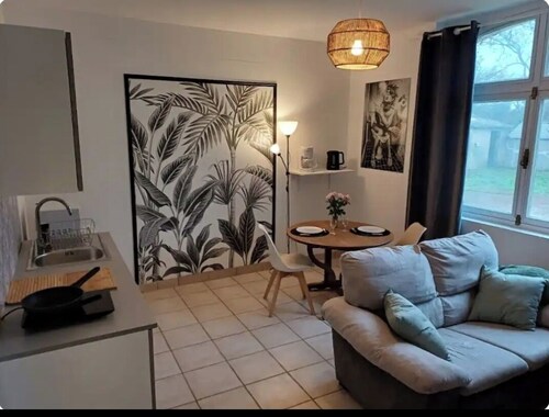 Logement centre ville Buzançais