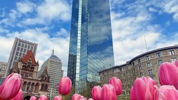 A tall skyscraper with a modern glass facade, surrounded by historic buildings and a field of pink tulips.