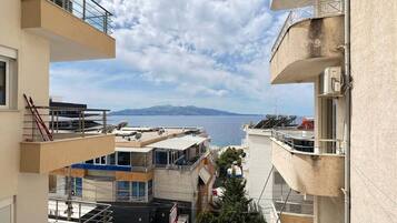 Vista des de l'allotjament