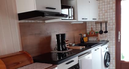 PROPOSE PETITE MAISON T1BIS 2-4 PERSONNES LA BARRE-FROMENTINE