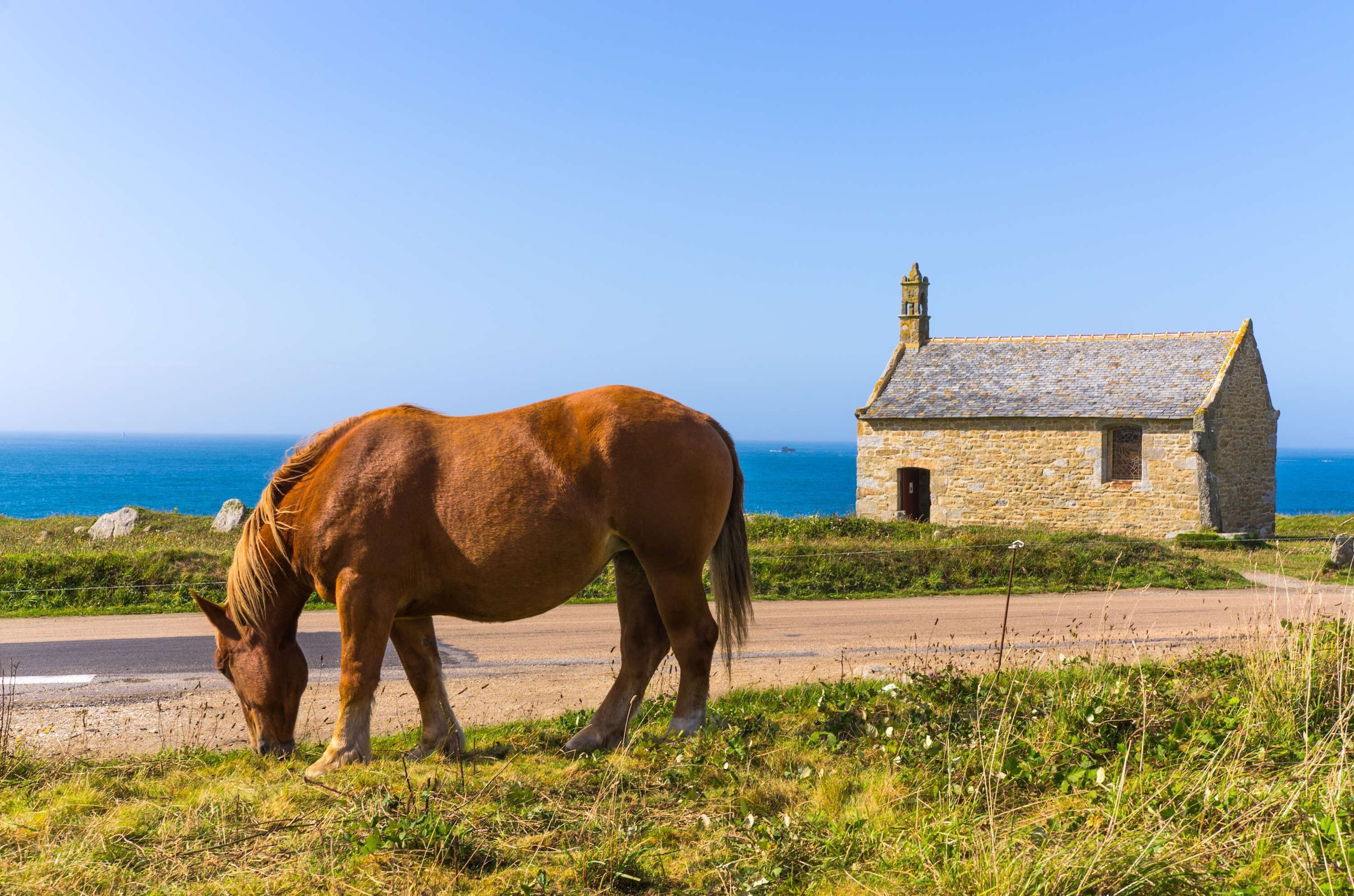 Un cavallo pascola vicino a un edificio in pietra con vista sull'oceano.