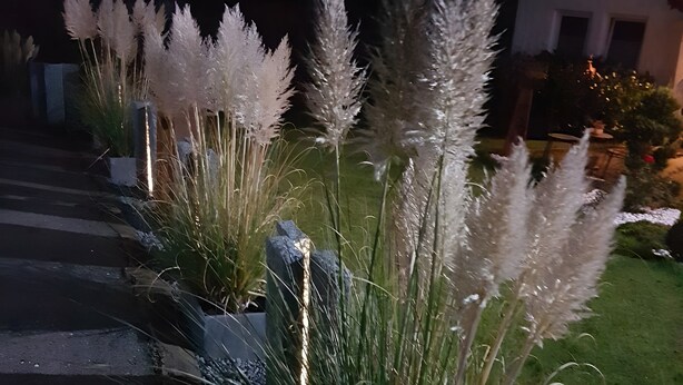 Een tuin met hoge siergrassen en een geplaveid pad dat naar een gebouw leidt.