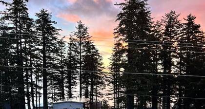 The Spruce Cape House