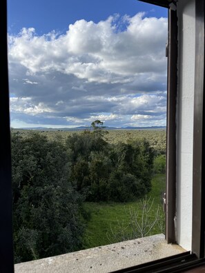 Interior - Casa no Limoeiro, Stylish Countryside Retreat Near (Loulé)