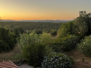Property grounds - Casa no Limoeiro, Stylish Retreat (Loulé)