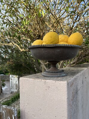 Interior detail - Casa no Limoeiro, Stylish Retreat (Loulé)