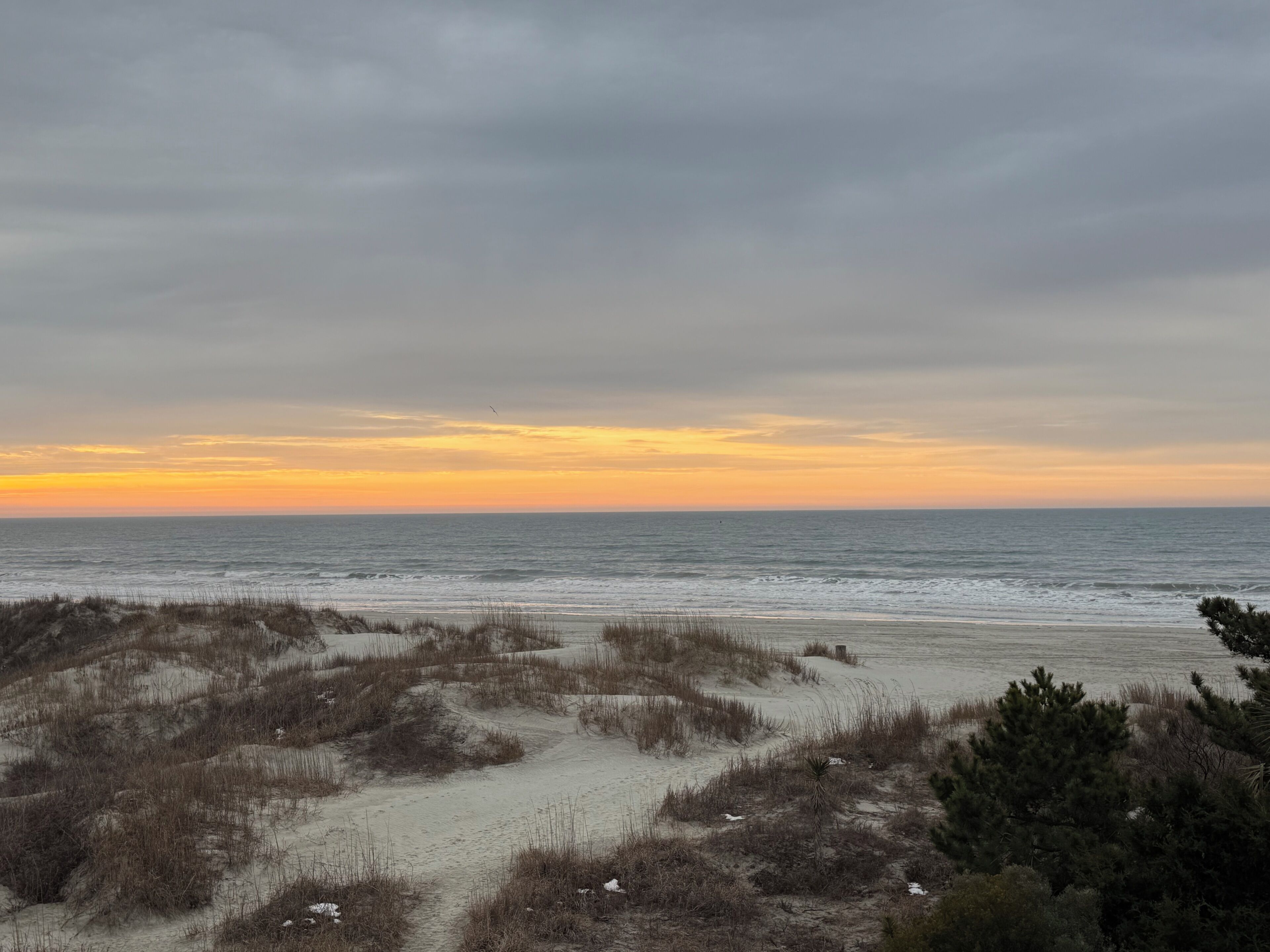 A beach with sand dunes and sparse vegetation.