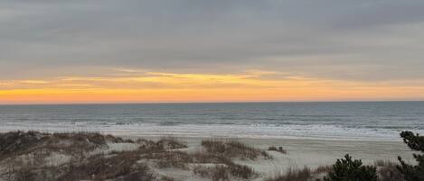 A beach with sand dunes and sparse vegetation.