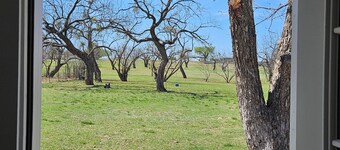 Our house is your house. Serene 3 bed 1 bath on Albany's golf course.