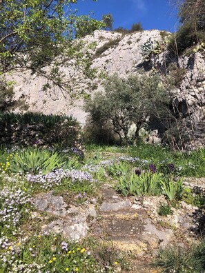 Property grounds - Quiet studio at the foot of St Jacques hill,a stone's throw from the city center (Cavaillon)