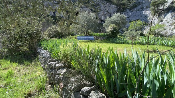 A stone wall, green plants, and a bench in a natural setting. - Quiet studio at the foot of St Jacques hill,a stone's throw from the city center (Cavaillon)