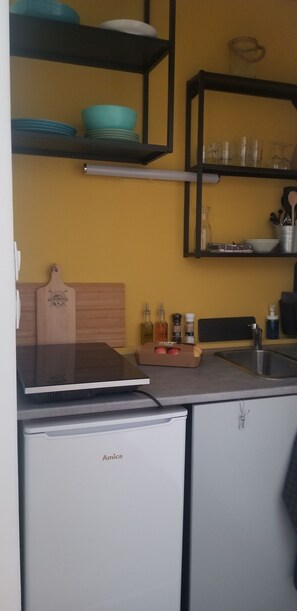 Fridge, microwave, stovetop, coffee/tea maker - Charmant T2 (La Bourboule)