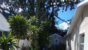A narrow concrete pathway flanked by greenery and residential buildings. - - Love and Tranquility (Room E and Room C)  (Tampa)
