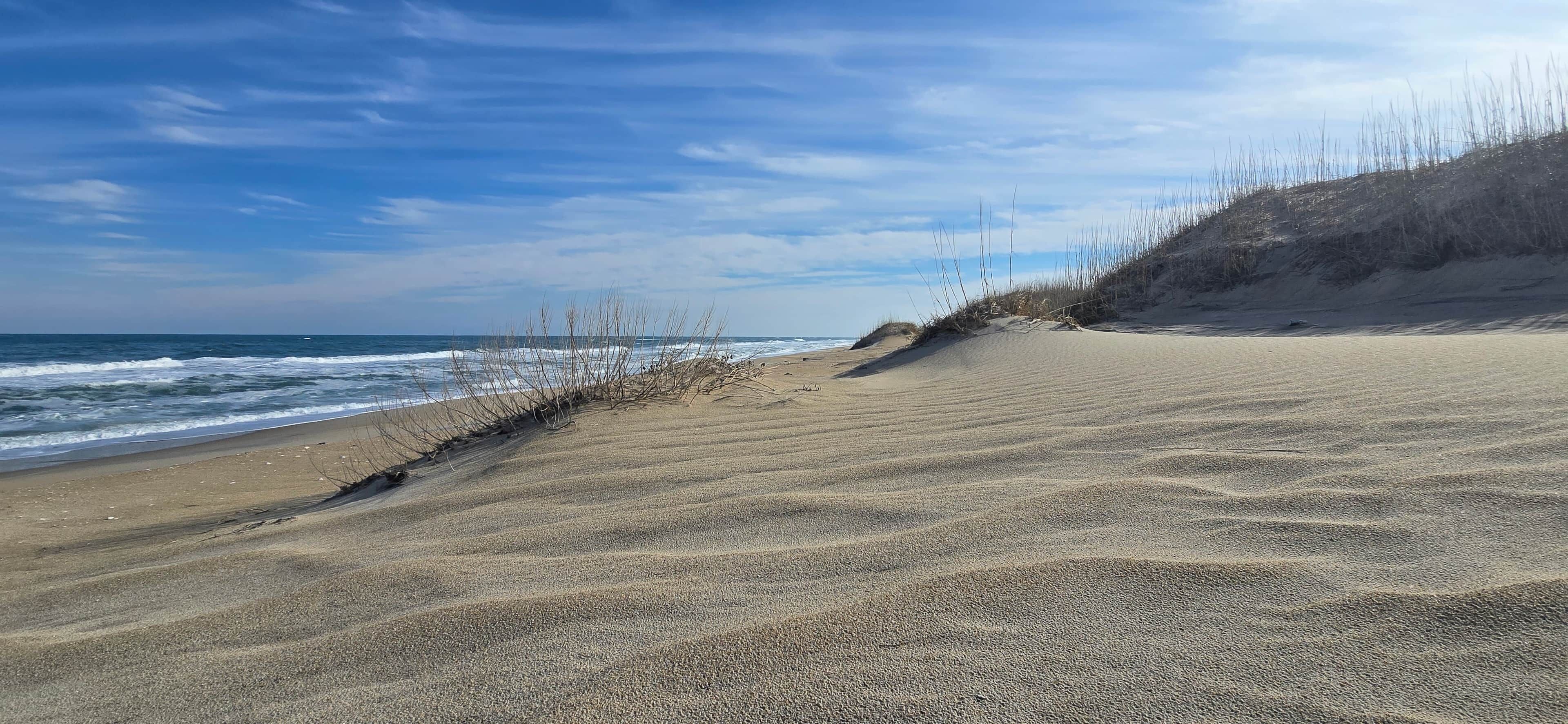 A sandy beach with gentle waves, a clear sky, and sparse vegetation.