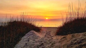 A sandy beach path leading to the sea with tall grasses on either side.