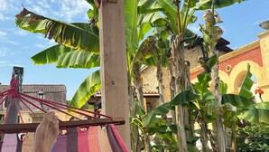 Uma rede sob uma estrutura de madeira, com bananeiras e um edifício ao fundo.