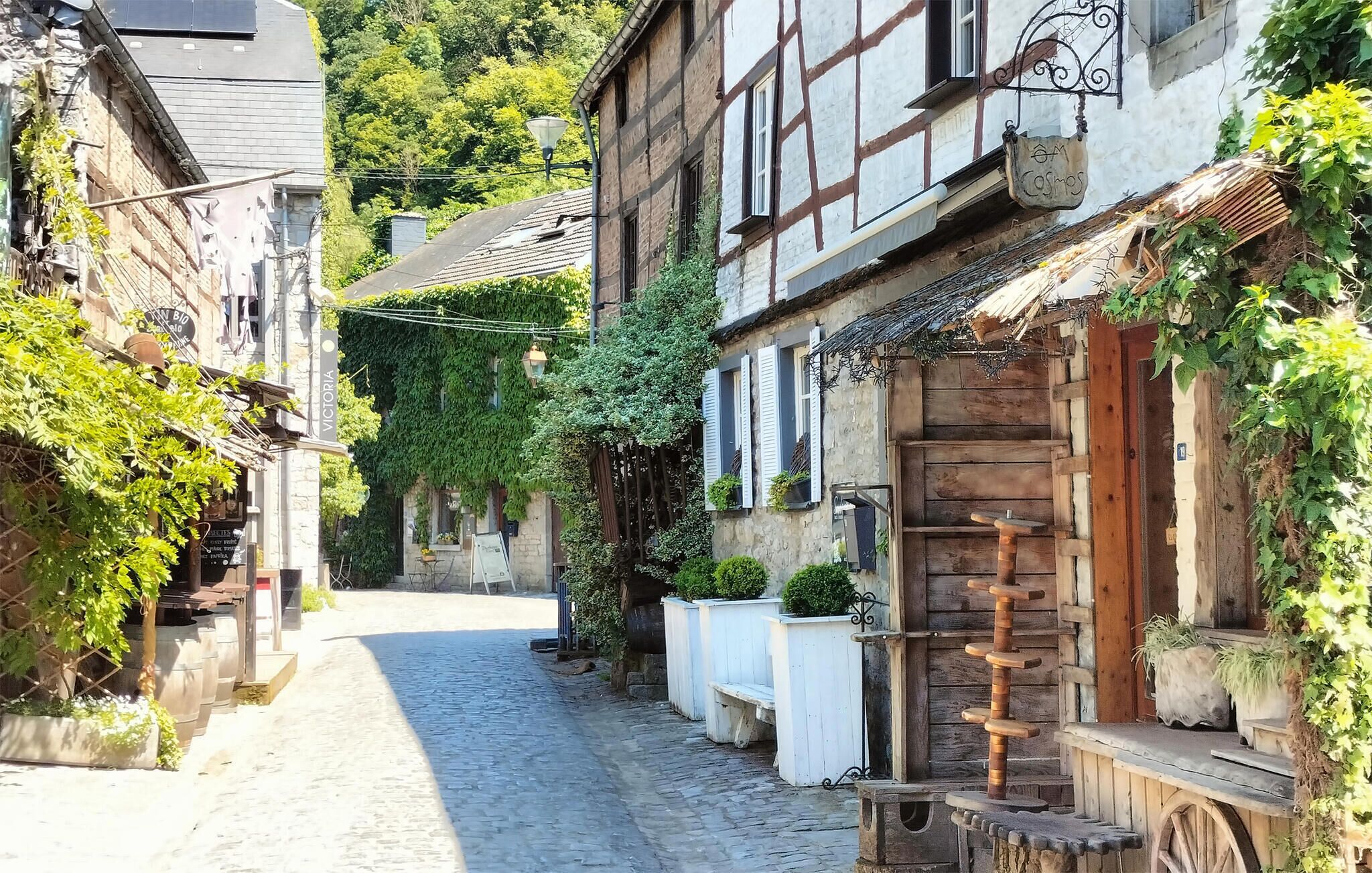 A narrow cobblestone street lined with traditional half-timbered buildings, some with ivy and greenery.