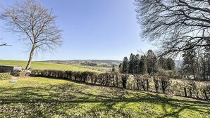 A rural landscape with a clear sky, a tree, and a hedge.