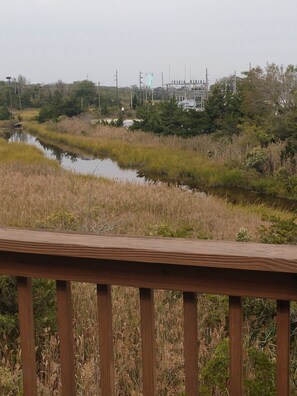 Property grounds - Elegant recently renovated townhouse in center of town, few blocks to beach (West Cape May)