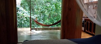 Jungle Paunch Cabins