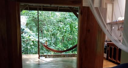 Jungle Paunch Cabins