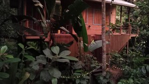 En rustik träbyggnad omgiven av tät vegetation.