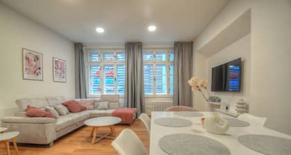 Cozy 2-bedroom apartment in lovely Olomouc with AC
