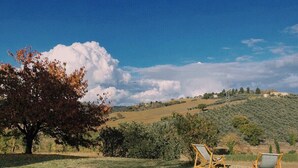 A grassy field with two wooden chairs and a tree. - Casale Milleluci - apartment with a view of the hills 10 min from the sea (SENIGALLIA)