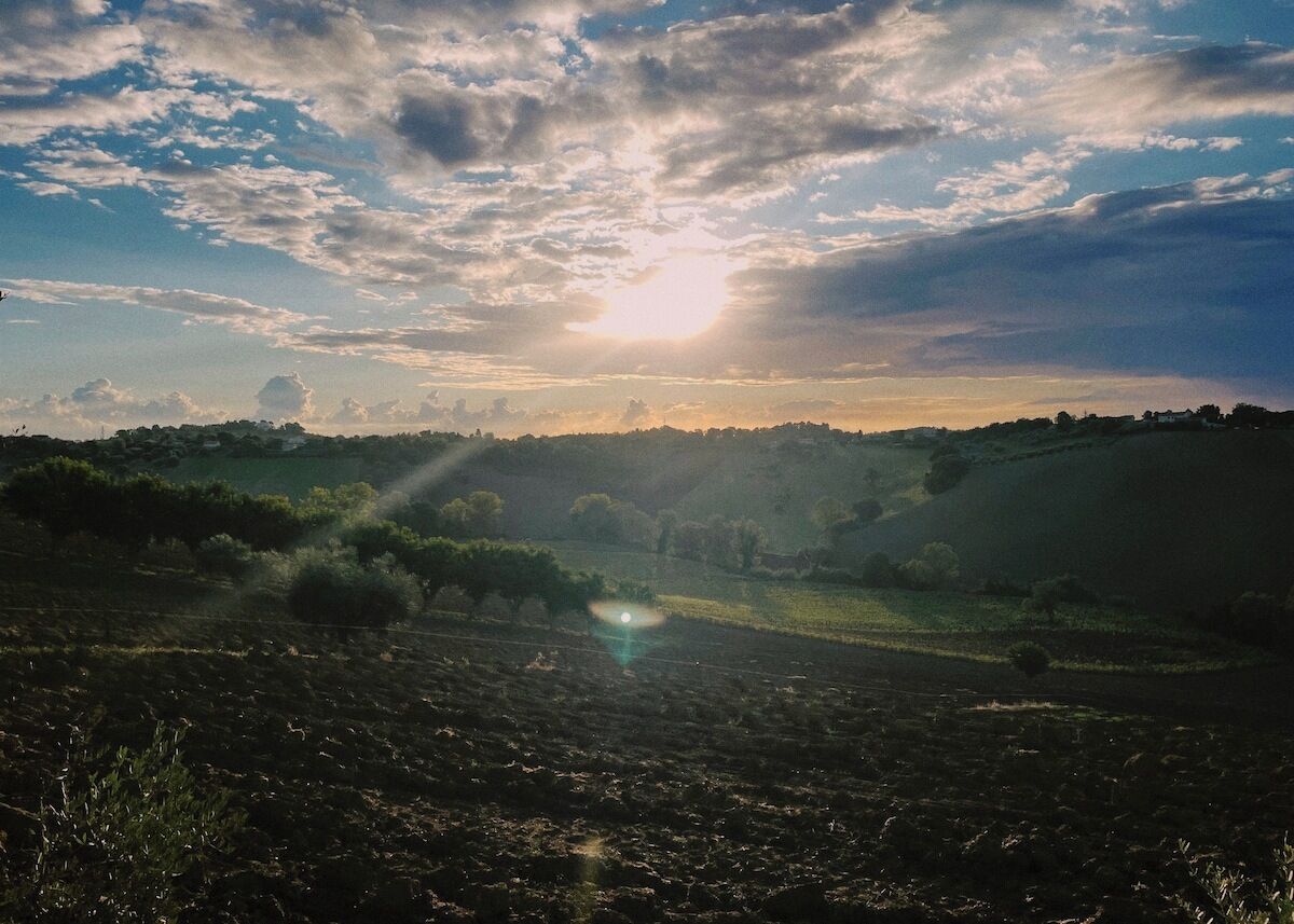 Een landelijk landschap met een veld, bomen en een bewolkte lucht.