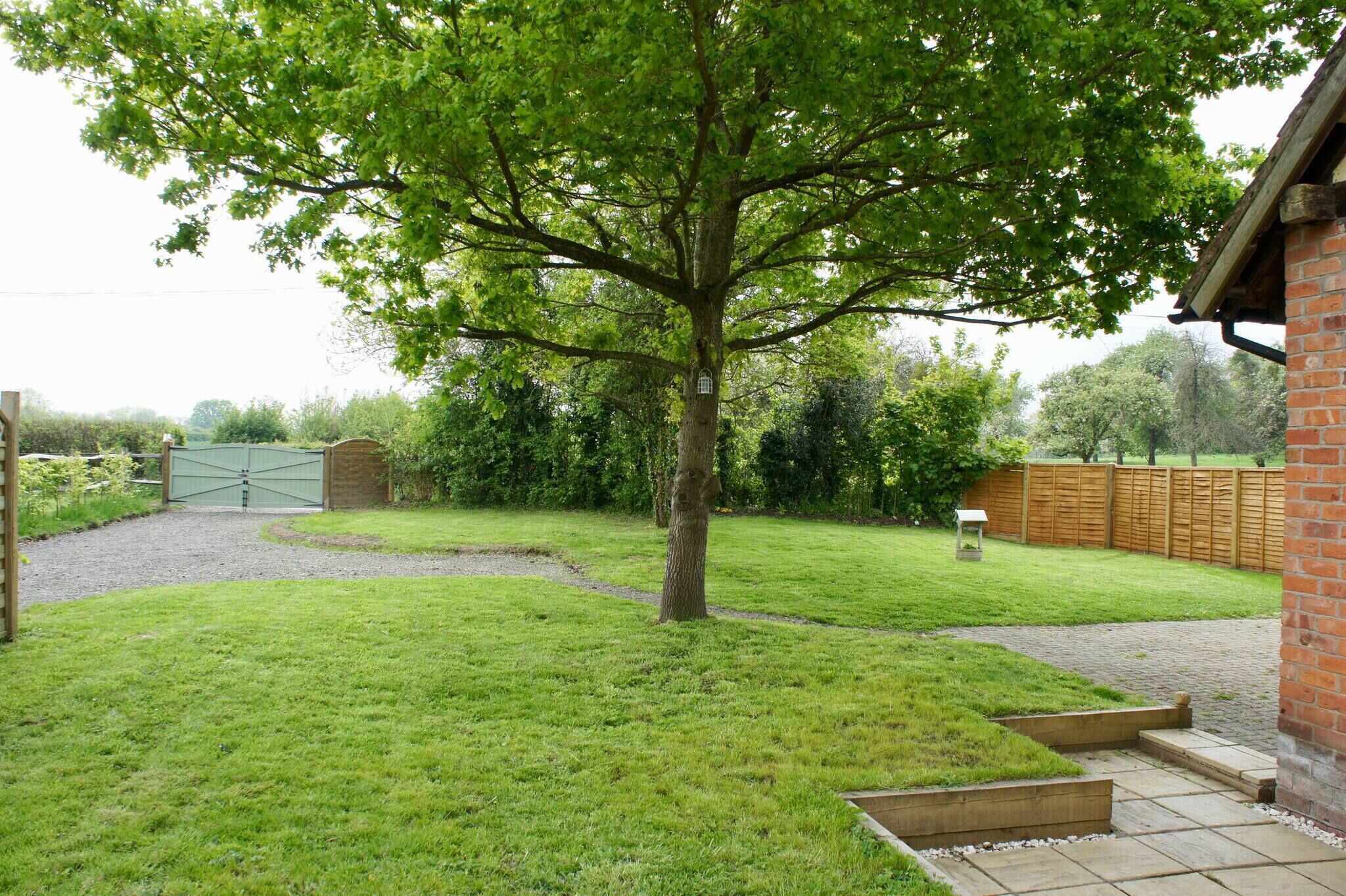 A backyard with a tree, a brick wall, and a wooden fence.