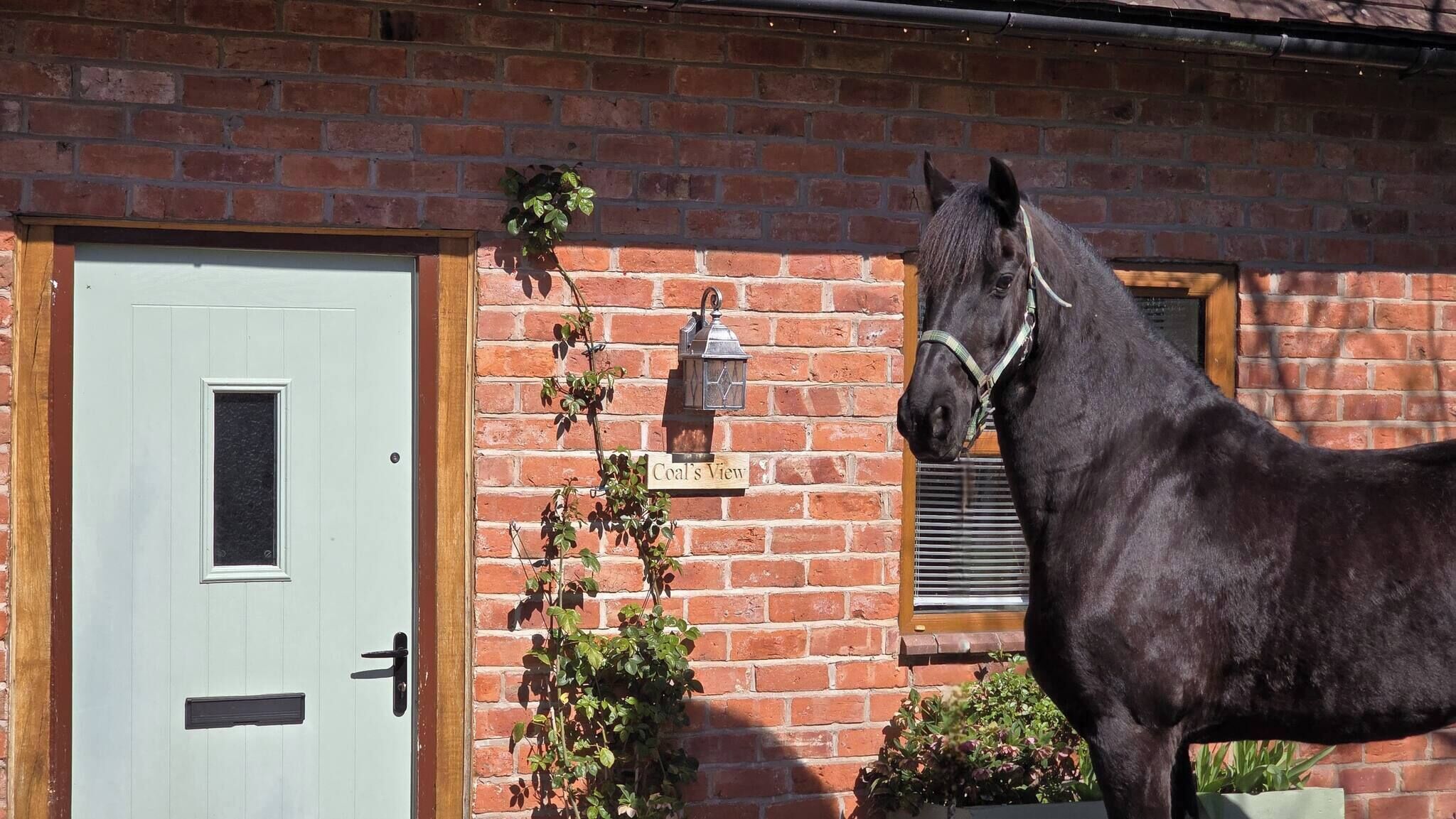 A brick building with a white door, a sign reading 'Coal's View,' and a black horse standing in front.
