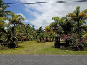 A garden with various trees and a paved path. - Serene 1-bedroom modern cottage in Keaau perfect for a relaxing getaway. (Keaau)