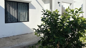 A white building with a window featuring decorative iron bars, a concrete ground, and a green bush in the foreground. - Loft en Distrito Tec. a 5 min a Fundidora. Walmart Nuevo Sur, Seguro y caminable (Monterrey)